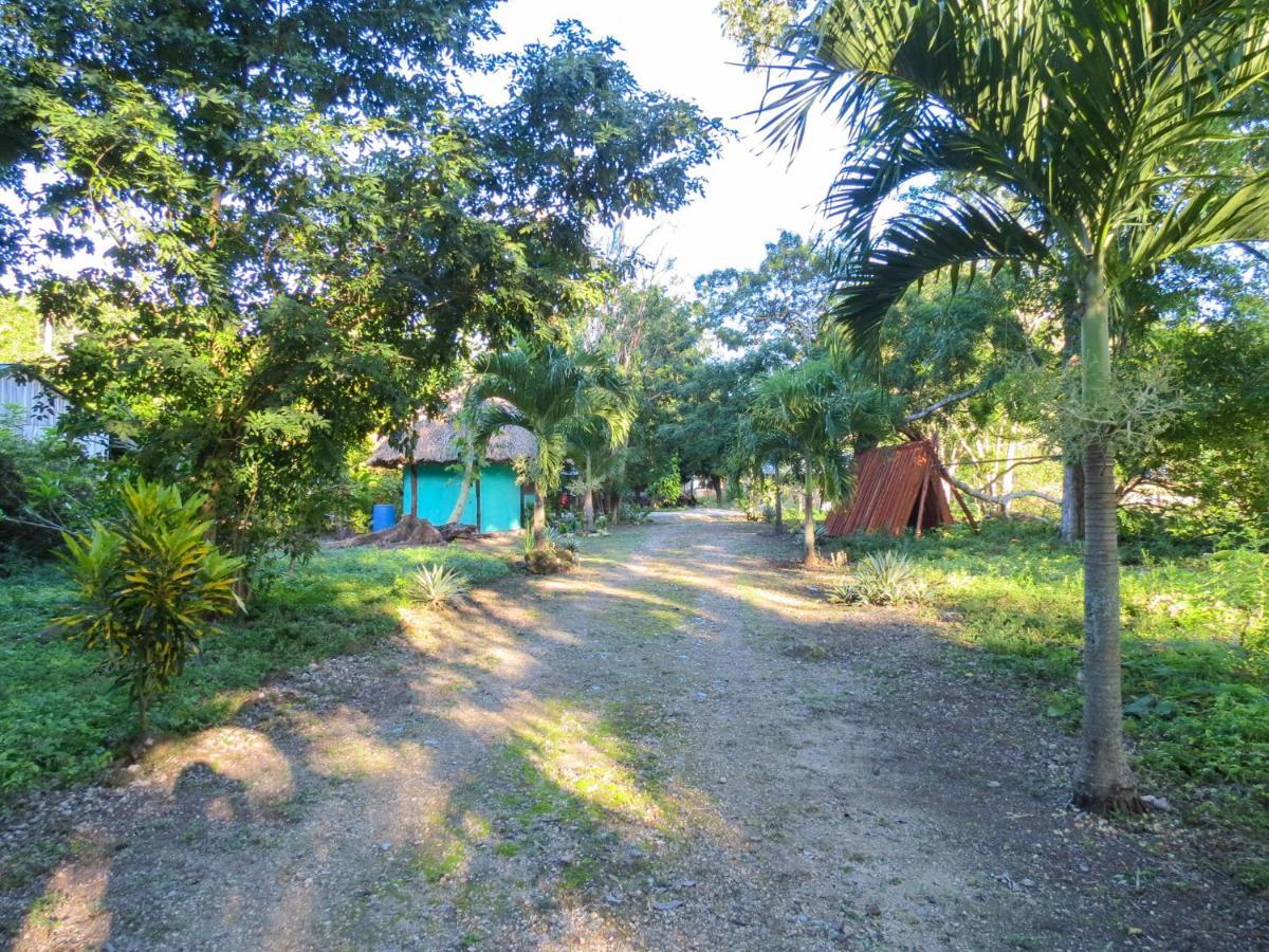 Cabanas Calakmul Conhuas Εξωτερικό φωτογραφία