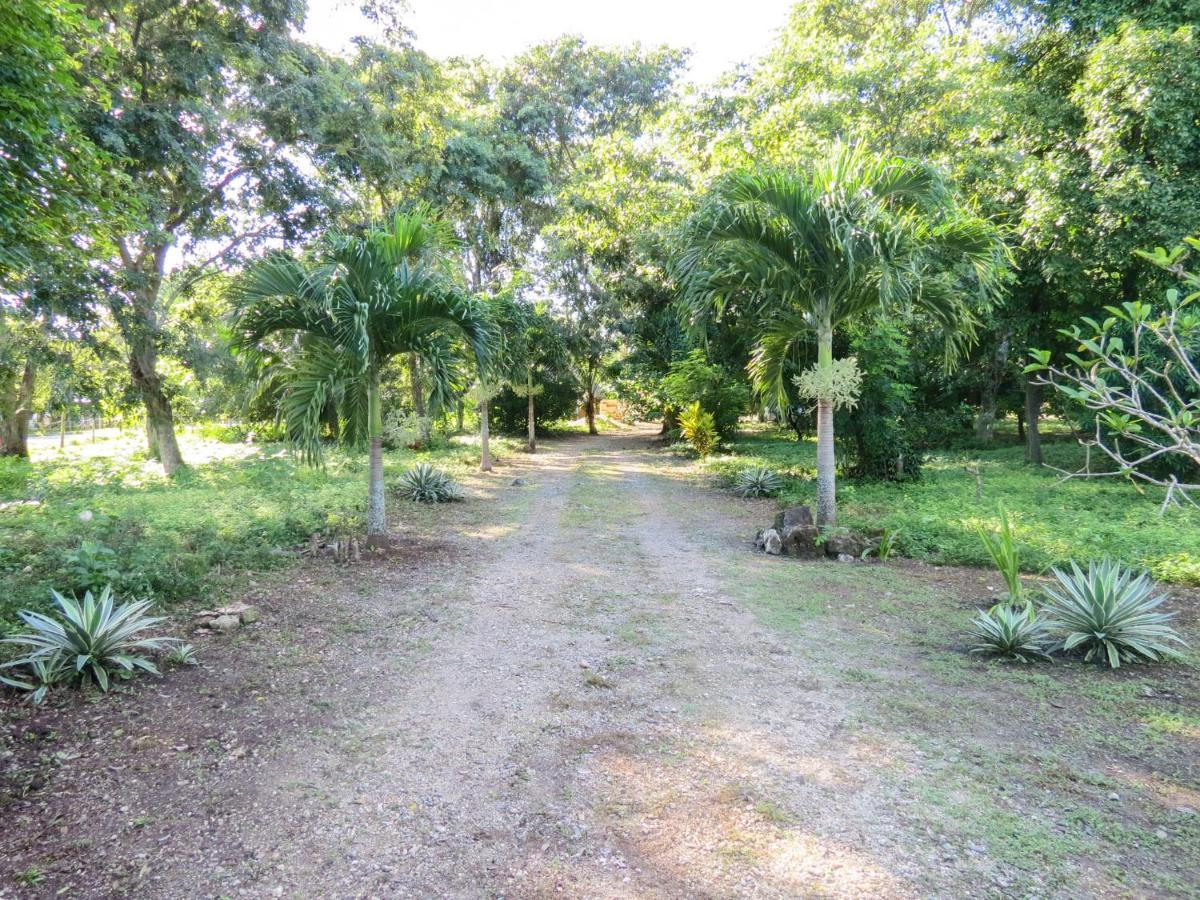 Cabanas Calakmul Conhuas Εξωτερικό φωτογραφία