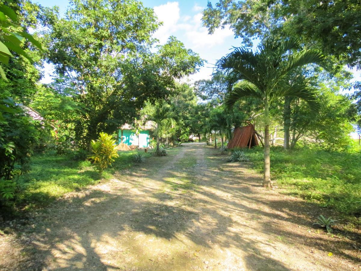 Cabanas Calakmul Conhuas Εξωτερικό φωτογραφία